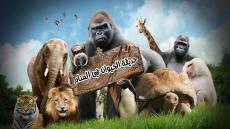 حديقة الحيوان في المنام