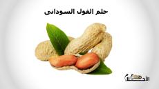 حلم الفول السودانى